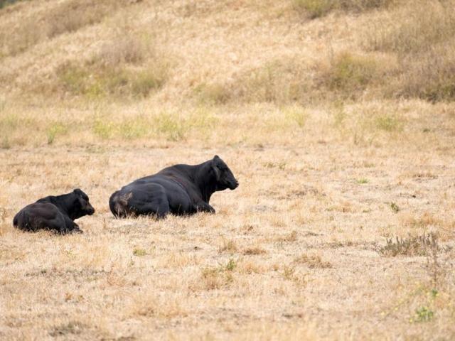 Land for sale in San Juan Bautista, California