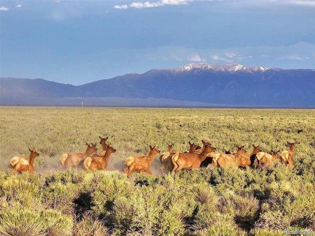 Land for sale in Mosca, Colorado