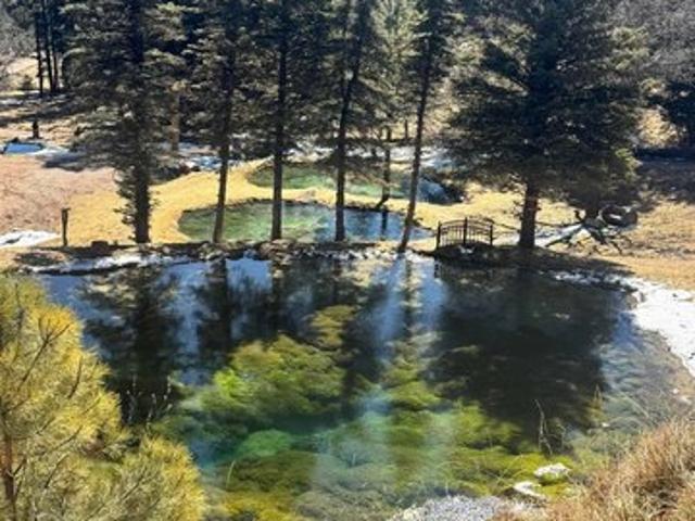 Land for sale in Cloudcroft, New Mexico