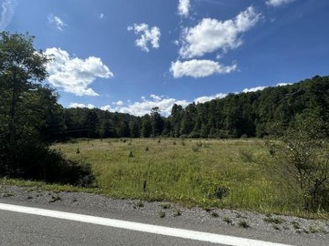 Land for sale in Buckeye, West Virginia