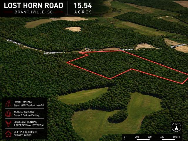 Land for sale in Branchville, South Carolina