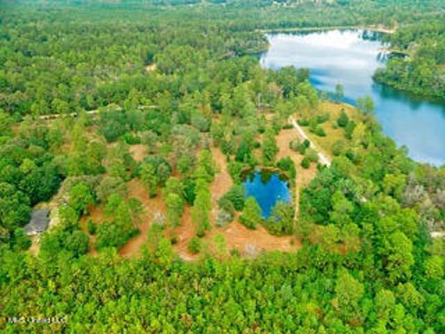 Land for sale in Poplarville, Mississippi