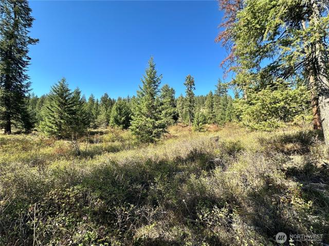 Land for sale in Boyds, Kettle Falls