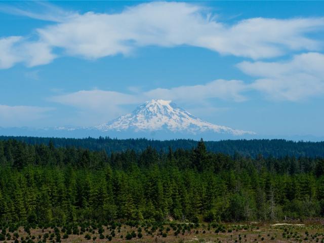 Land for sale in Allyn