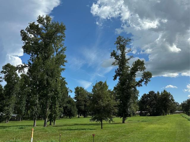 Land for sale in Dayton, Liberty County