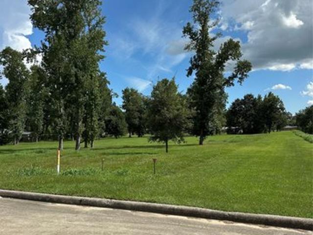 Land for sale in Dayton, Liberty County
