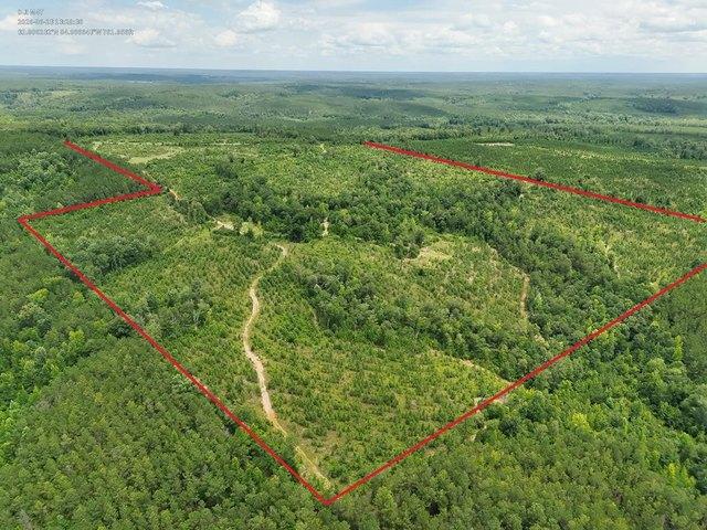 Farm for sale in Quitman, Georgia