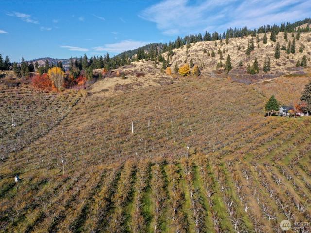 Land for sale in Peshastin, Washington