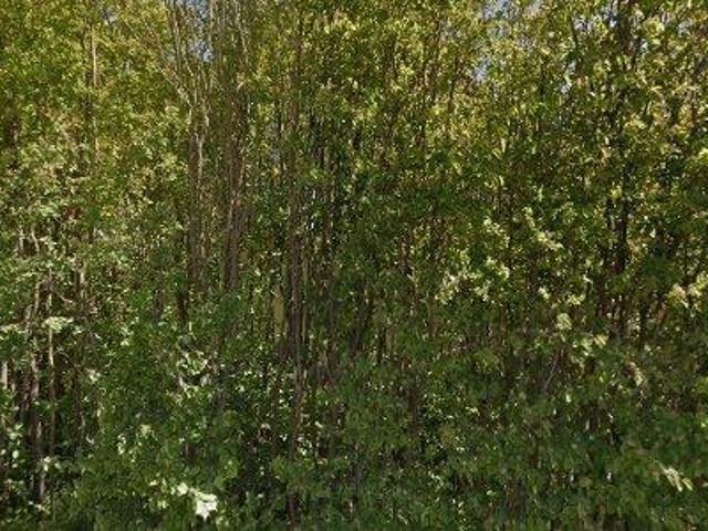 Lägenhet hyra i Lomma, Skåne