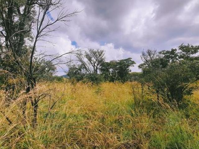 Land for sale in Limpopo