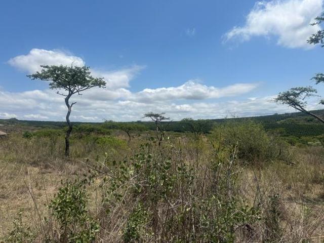 Land for sale in Ehlanzeni, Mpumalanga