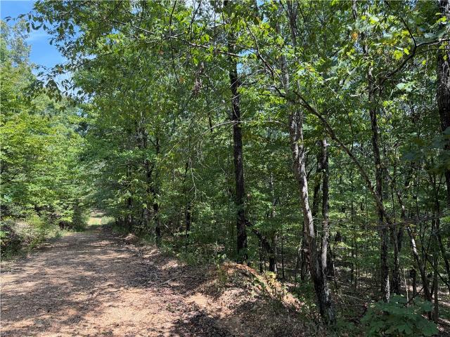 Land for sale in Ark