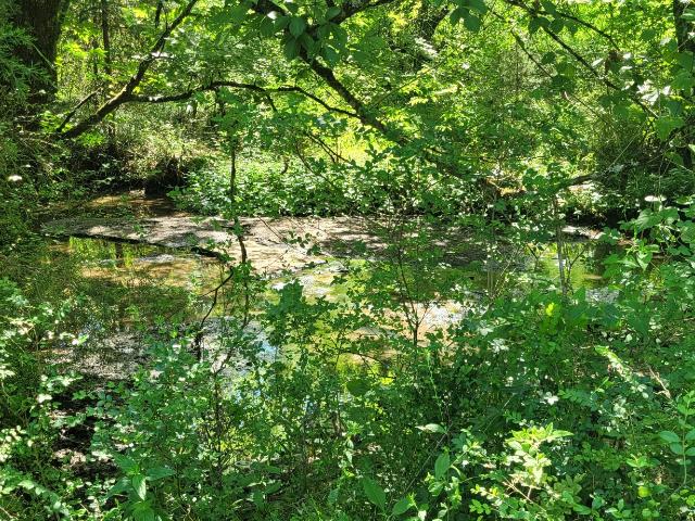 Farm for sale in Tennessee