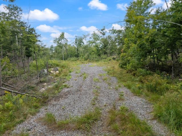Land for sale in Newfield, Maine