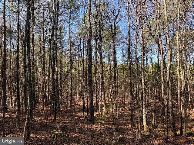 Land for sale in Virginia