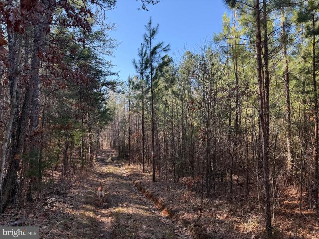 Land for sale in Virginia