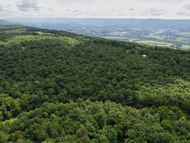 Land for sale in Tennessee