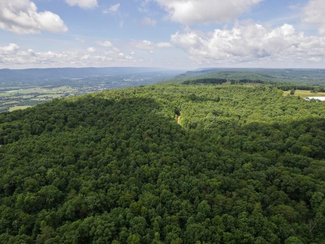 Land for sale in Tennessee