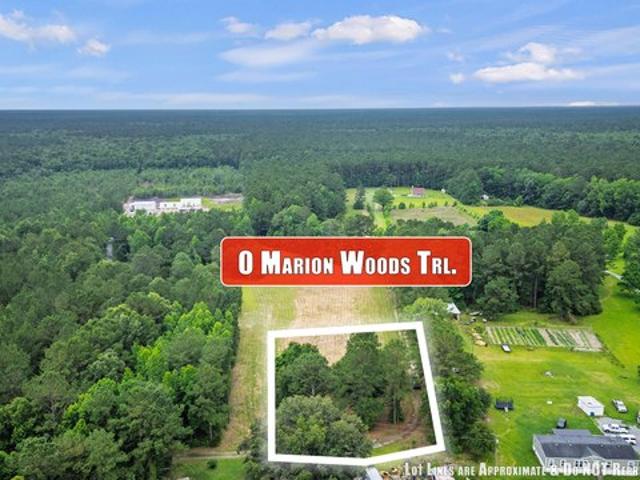 Land for sale in Bonneau, South Carolina