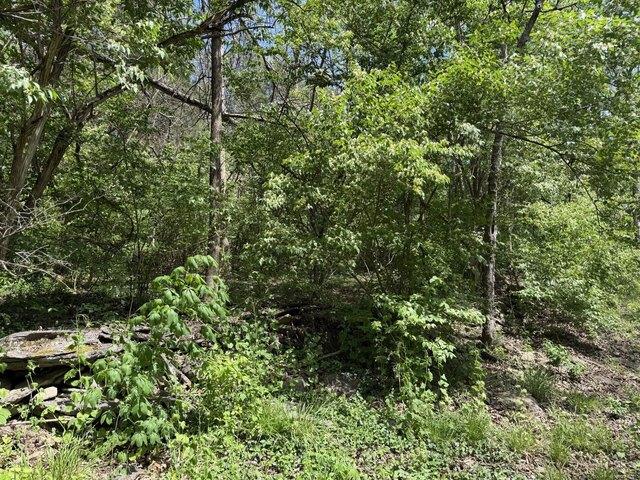Land for sale in Garrard, Kentucky