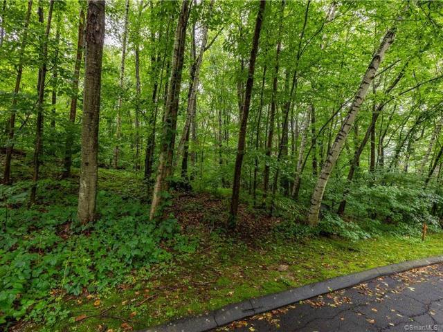 Property for sale in Plymouth, Connecticut