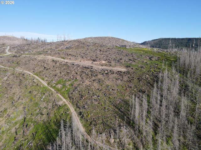 Land for sale in Oregonia