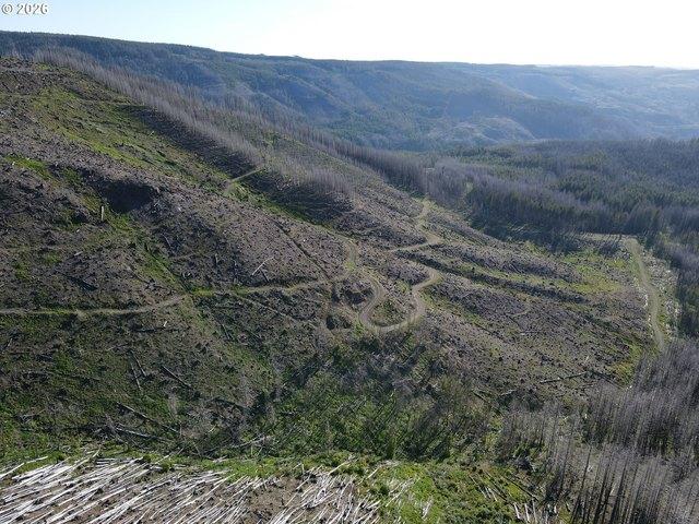 Land for sale in Molalla, Clackamas County