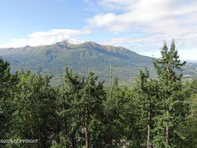 Land for sale in Vilas, Wisconsin