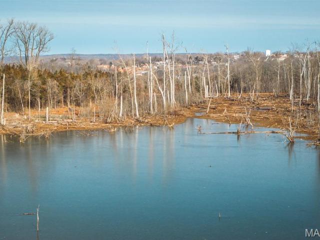 Land for sale in Mineral Point, Missouri