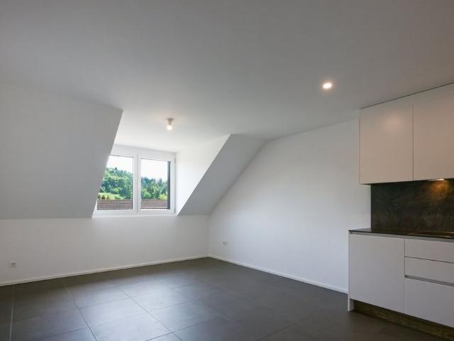 Apartment mieten in Hettenschwil, Leuggern