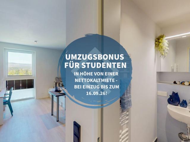 Apartment mieten in Wiesbaden, Hessen