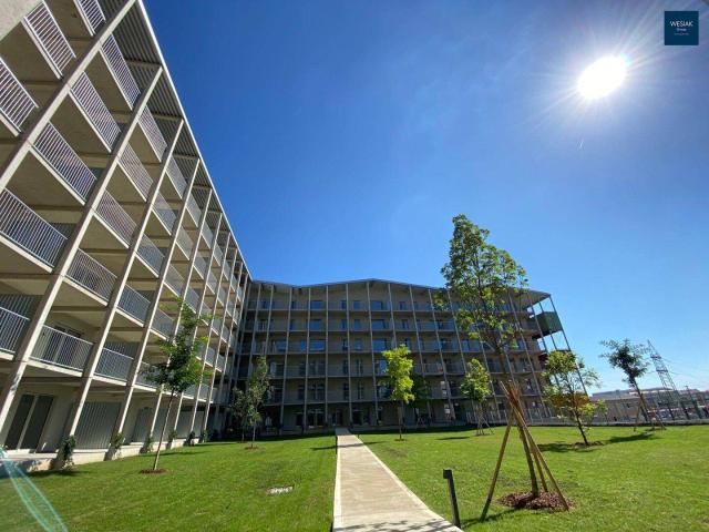 Apartment mieten in Lend, Gersdorf-Feistritz