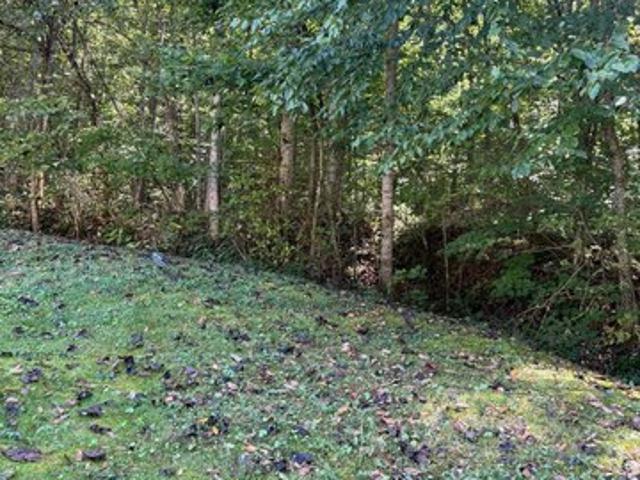 Land for sale in Booneville, Owsley County