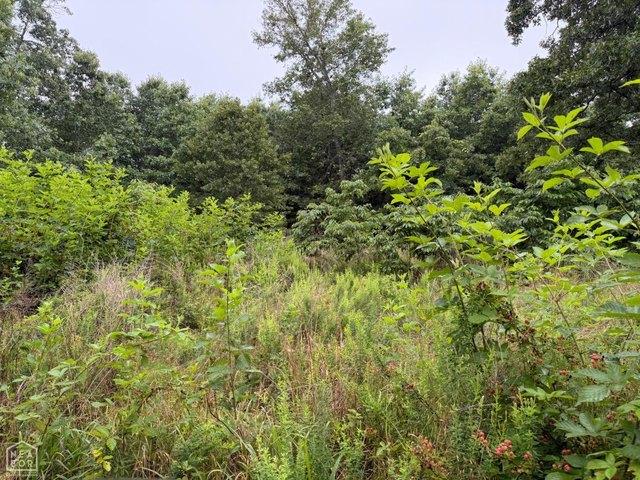 Land for sale in Ark