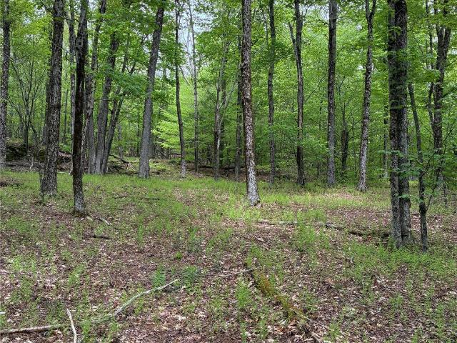 Land for sale in Andes, New York