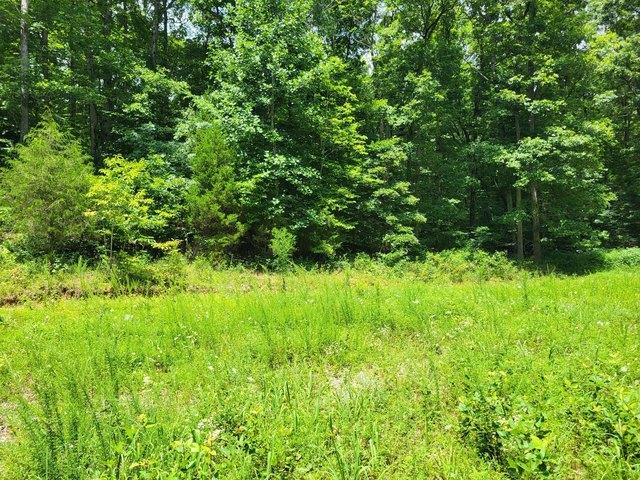 Land for sale in Tennessee