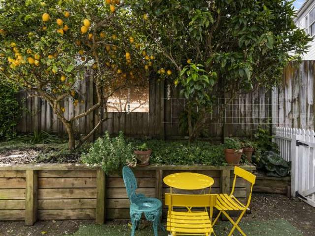House for rent in Grey Lynn