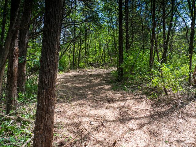 Land for sale in Tennessee