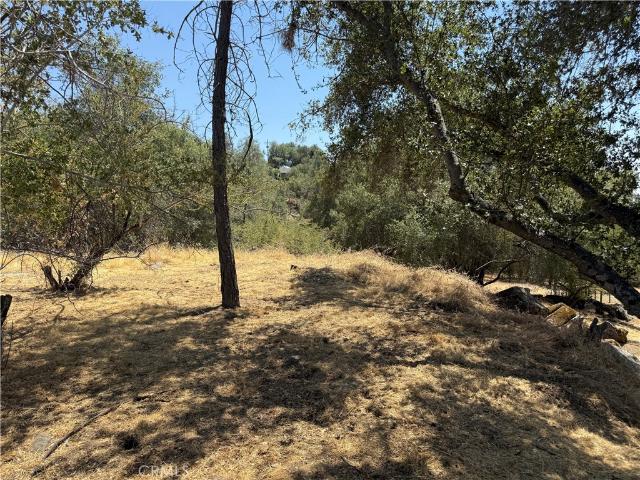 Land for sale in Coarsegold