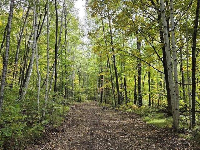 Land for sale in Crandon, Forest County