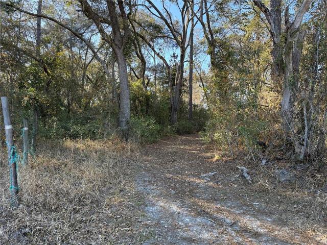 Land for sale in Bronson, Florida