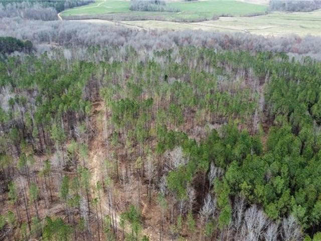 Land for sale in Kennedy, Alabama
