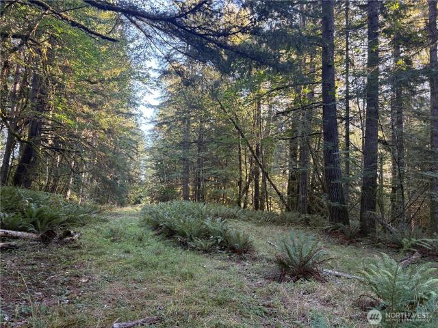 Land for sale in Washington