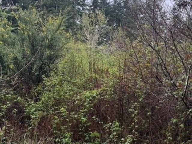 Land for sale in Port Townsend, Washington