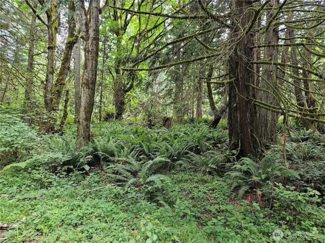 Land for sale in Quilcene, Washington