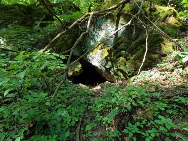 Land for sale in Tennessee