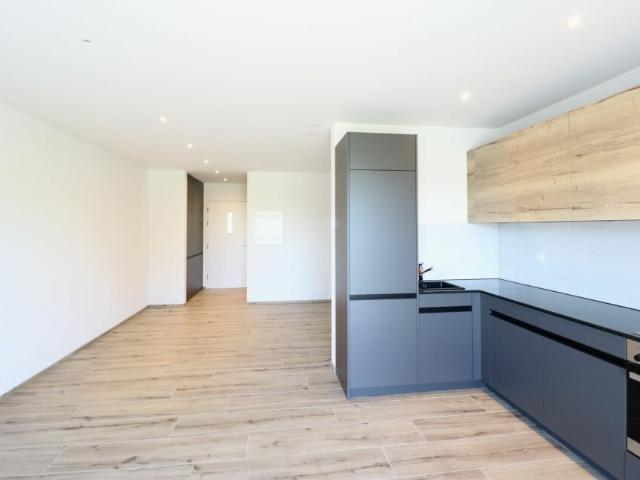 Wohnung mieten in Safenwil, Aargau