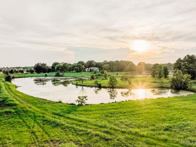 Land for sale in Cecil, Alabama