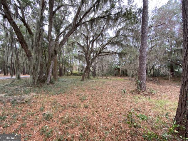 Land for sale in Darien, Georgia