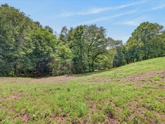 Land for sale in Tennessee